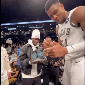 欧冠大神：鹏哥解球10连红 琛茹、小盼哥24中22（欧冠高手：鹏哥十连红，琛茹与小盼哥24中22）