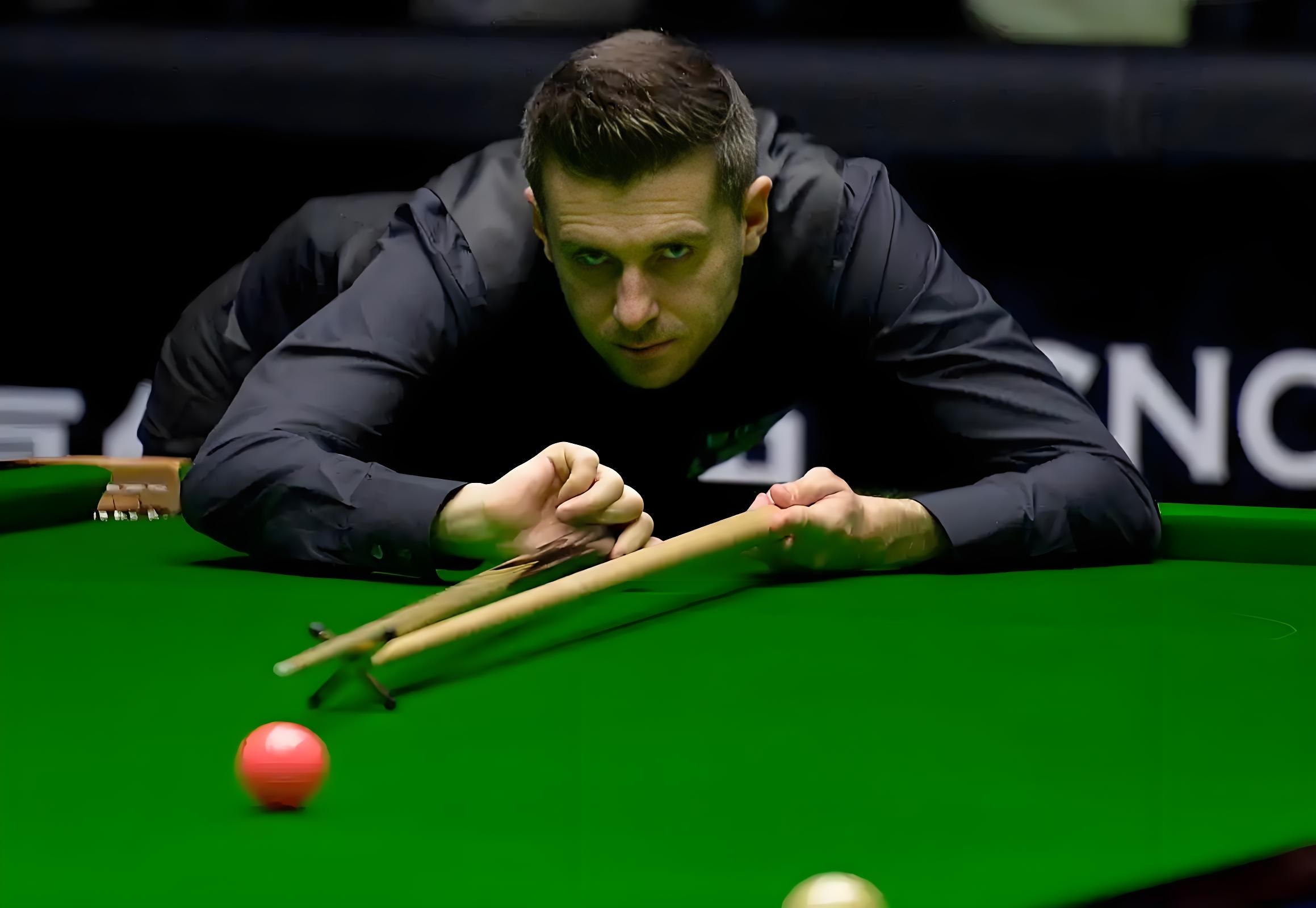 的才华和毅 的才华和毅